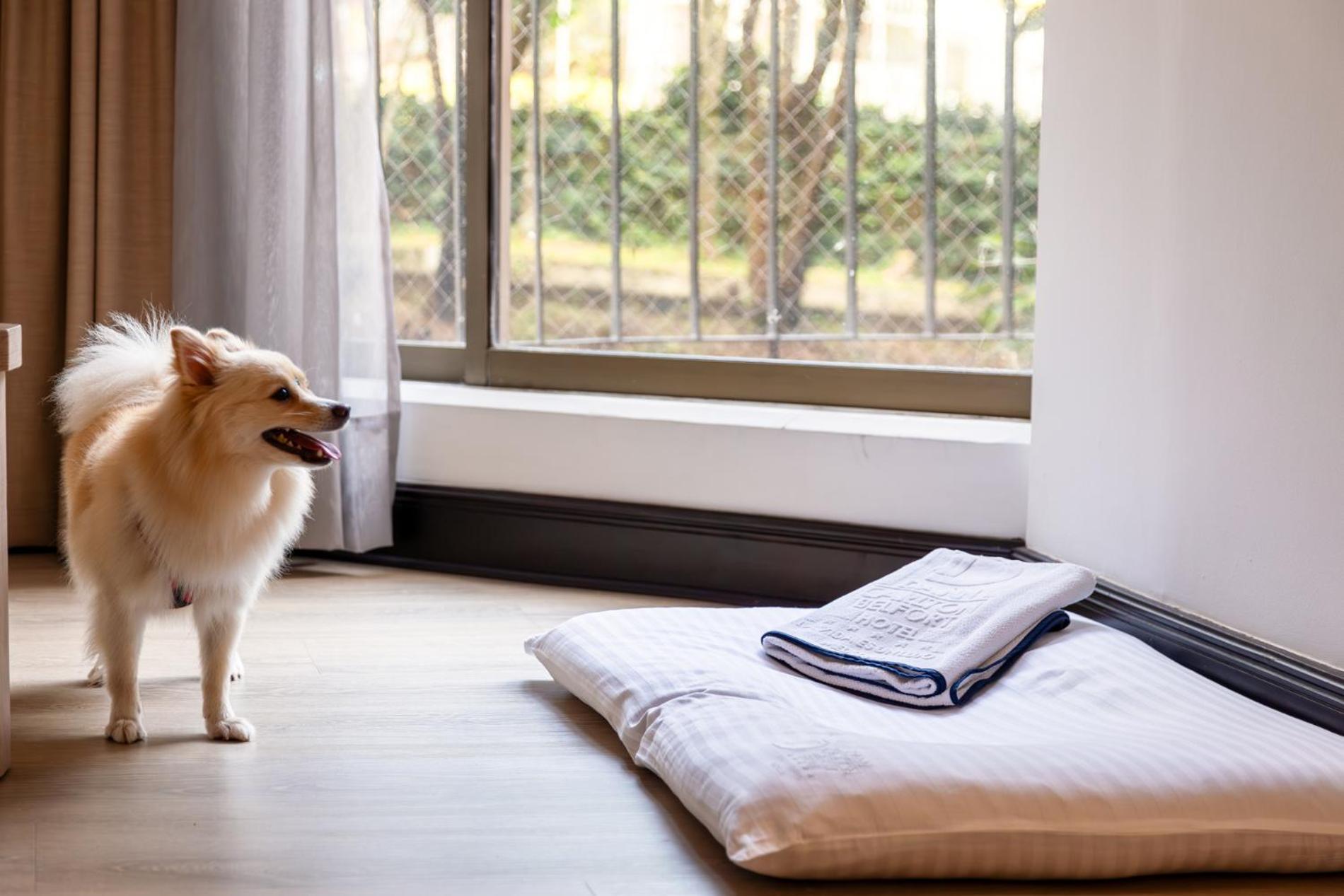 Hotel Dann Carlton Belfort Medellín Exteriér fotografie A dog bed